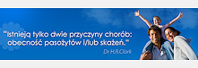 intruz.pl